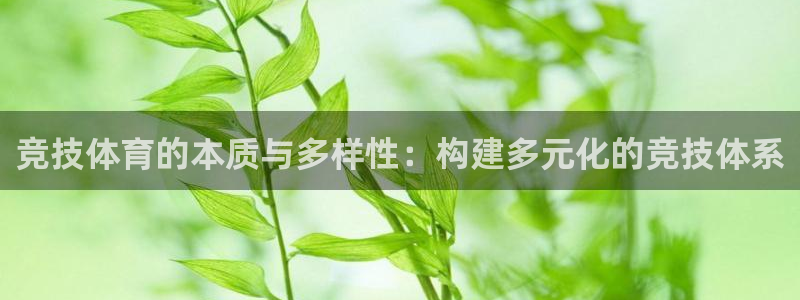 竞技体育的本质与多样性：构建多元化的竞技体系
