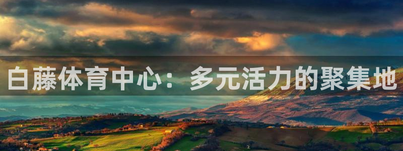 白藤体育中心：多元活力的聚集地