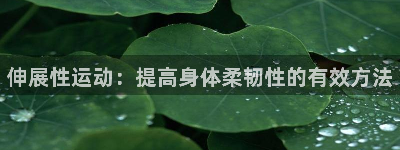 伸展性运动：提高身体柔韧性的有效方法