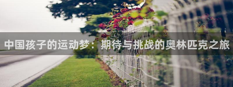 中国孩子的运动梦：期待与挑战的奥林匹克之旅