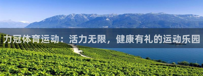 力冠体育运动：活力无限，健康有礼的运动乐园