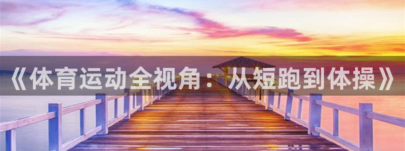 《体育运动全视角：从短跑到体操》