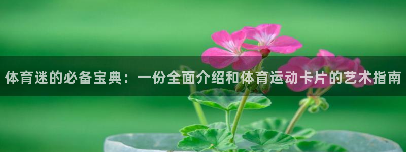体育迷的必备宝典：一份全面介绍和体育运动卡片的艺术指南